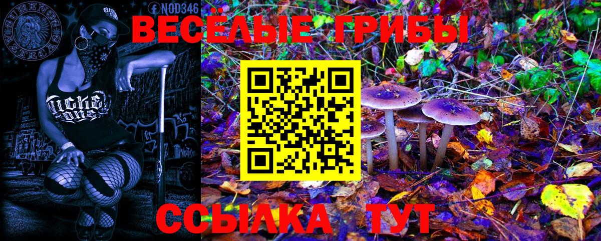 Псилоцибиновые грибы Psilocybe  Вход с VPN  Кемерово 